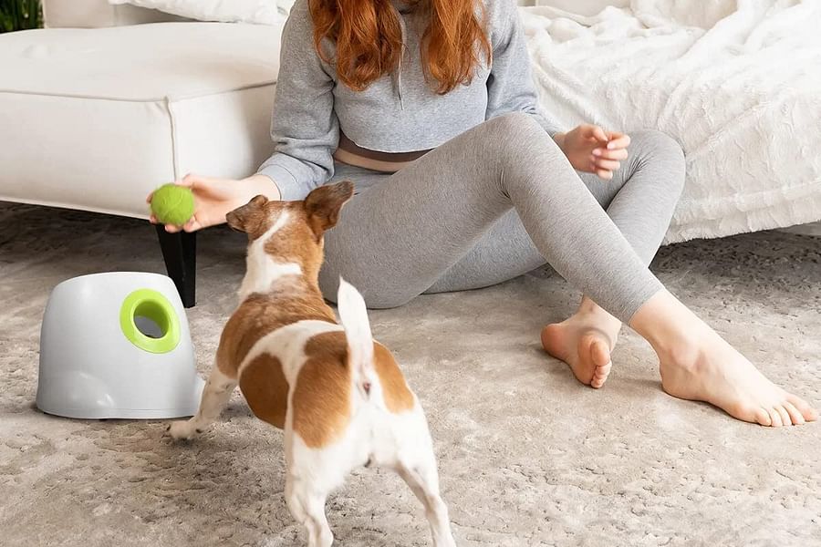 All for Paws Hyper Fetch Mini