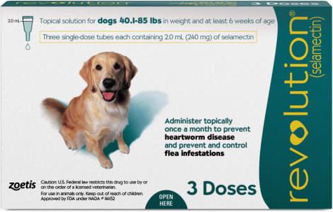 Best Dog Fetch Machines for 2026: Automated Play for Every Breed