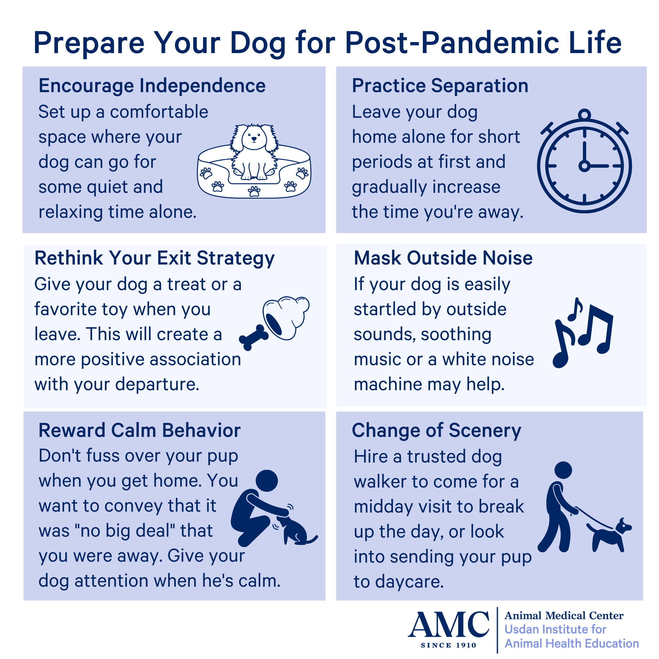 Post-Pandemic Dog Behavior: Fixing Separation Anxiety Through Structured Fetch Training Programs in 2026