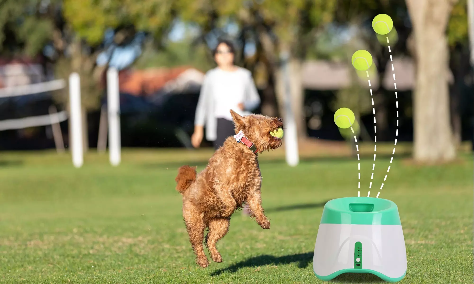 Far Fetchers: How to Master the Fetch Command with Your Dog