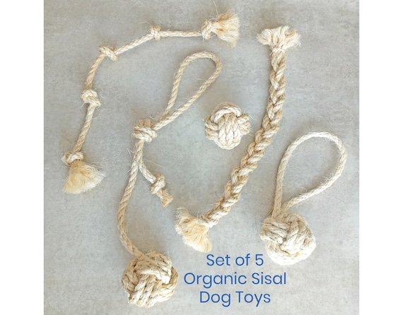 Eco-Friendly Dog Toys 2026: Sustainable Fetch Training Equipment That Dogs Actually Love