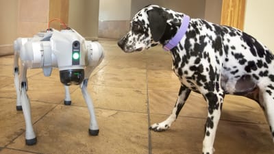 AI-Powered Dog Fetch Machines 2026: The Smart Revolution in Canine Training Technology