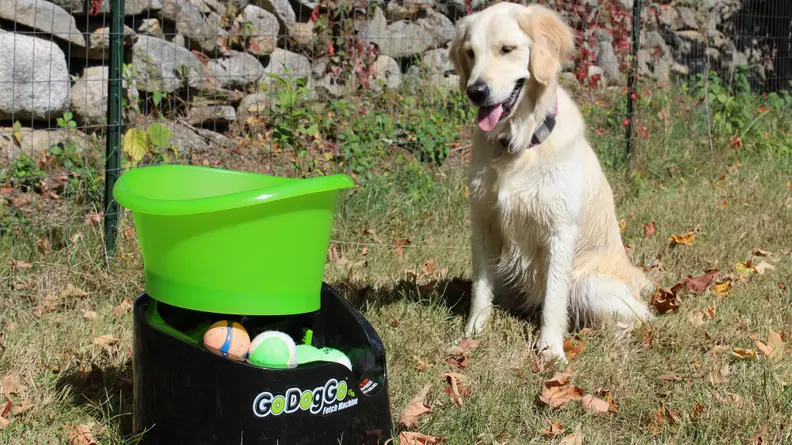 How to Train Your Dog to Use a Fetch Machine