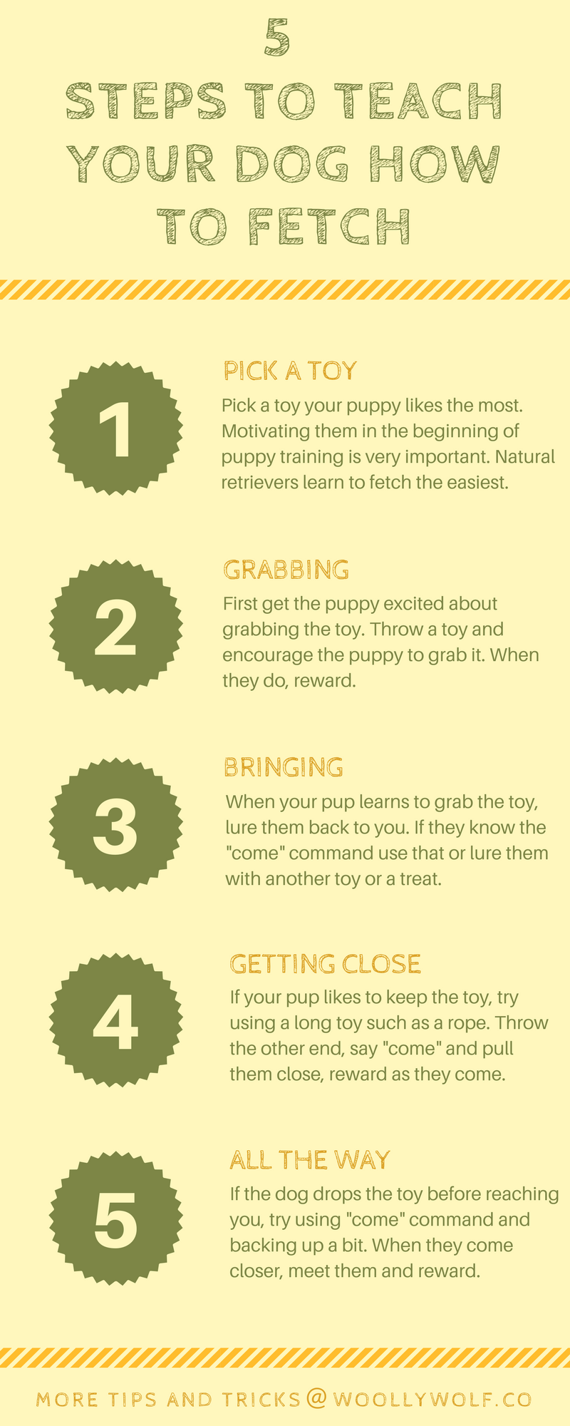 teaching dogs to fetch