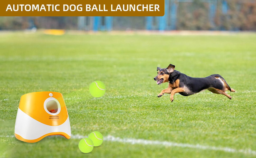 ’s Dog Fetch Machines