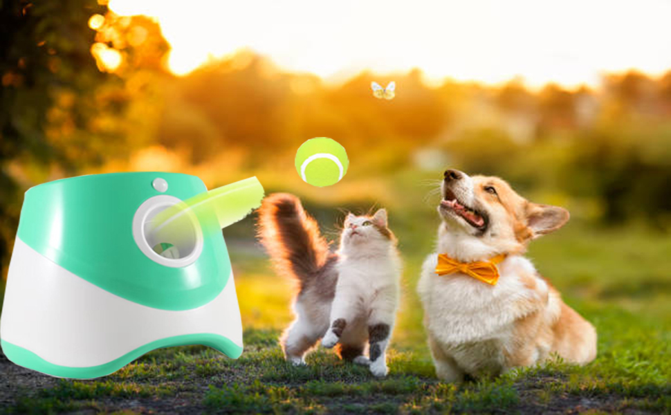 2026’s Best Dog Fetch Machines: How to Teach Your Dog to Fetch Faster with Far Fetchers
