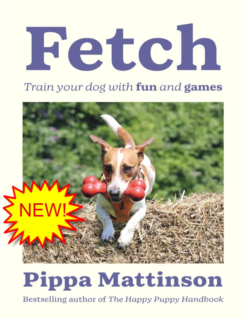 The to Teaching Dogs to Fetch