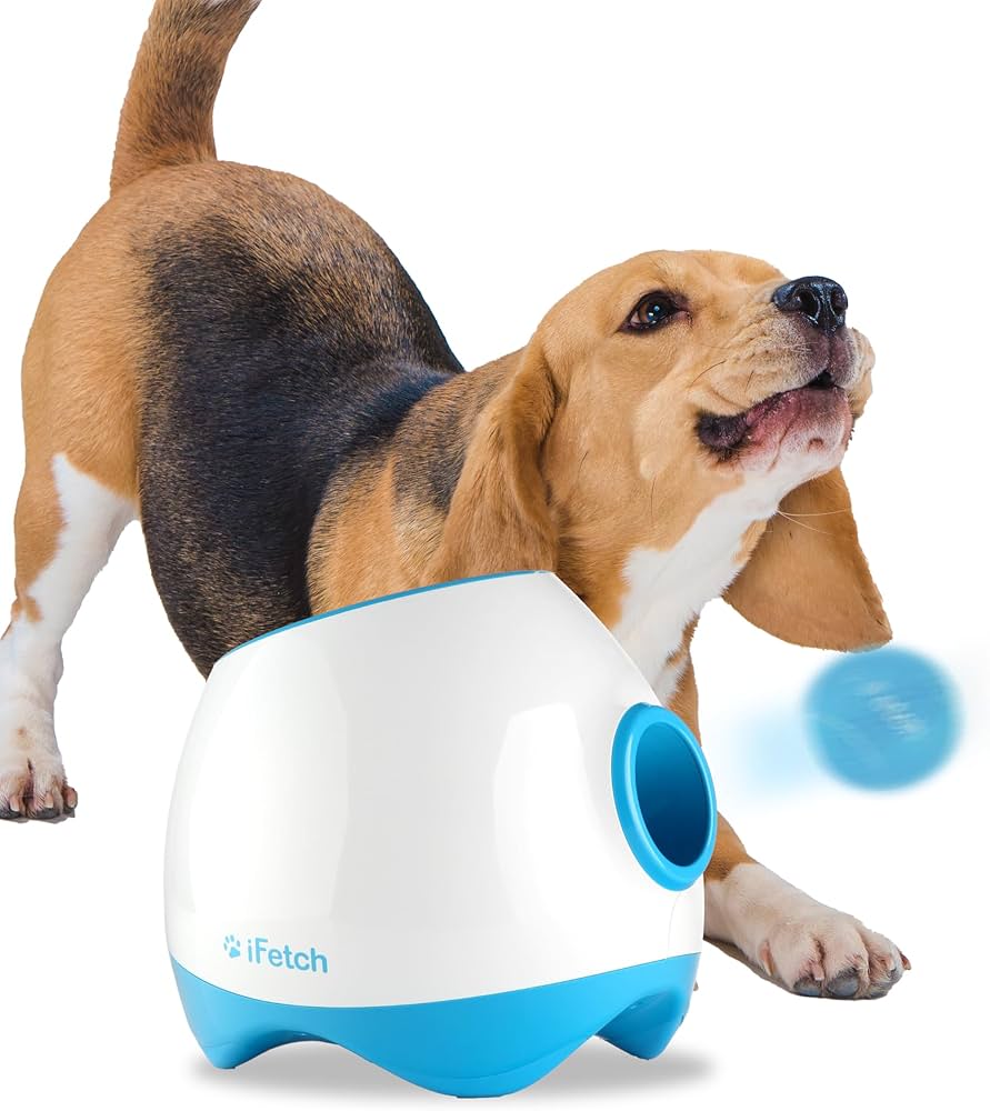 iFetch Too Big Automatic Ball Launcher