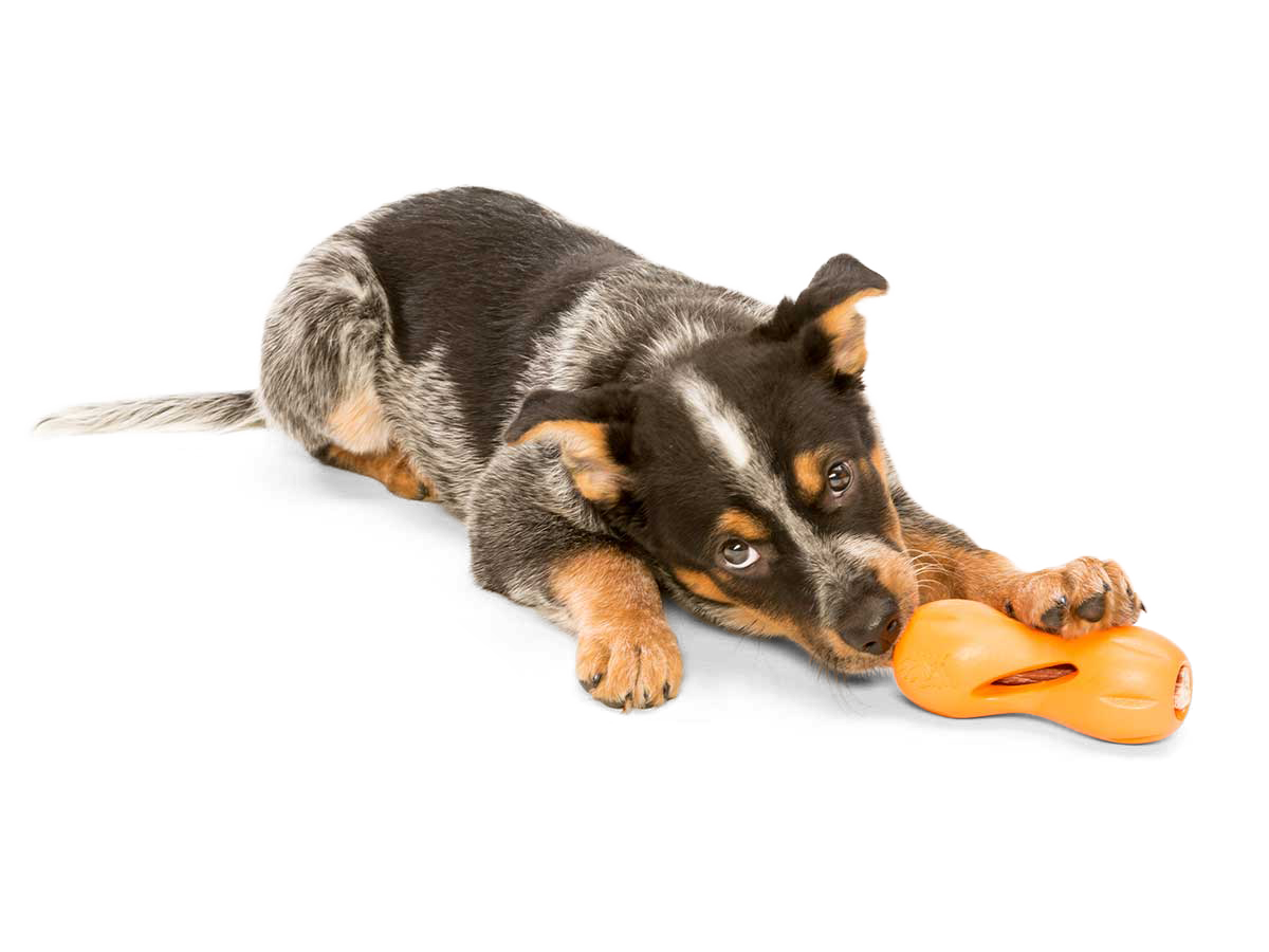 Outward Hound Bionic Ball