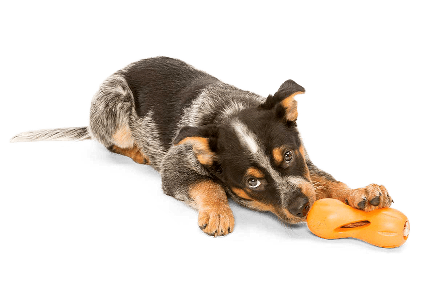 Outward Hound Bionic Ball