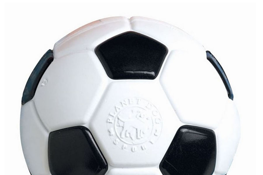 Planet Dog Orbee-Tuff Ball