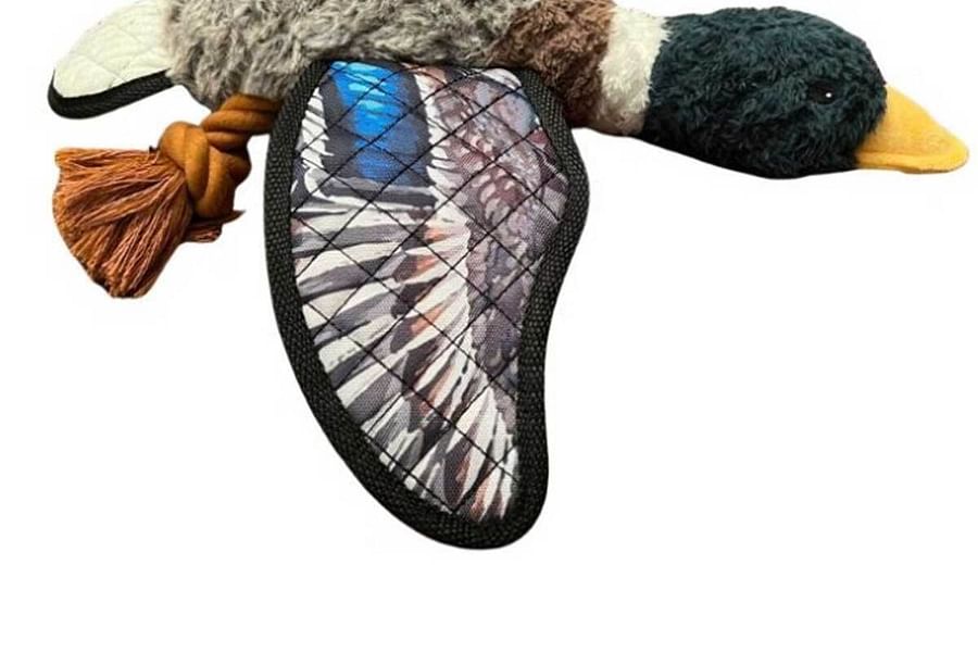 Plush Duck Puppy Fetch Toy