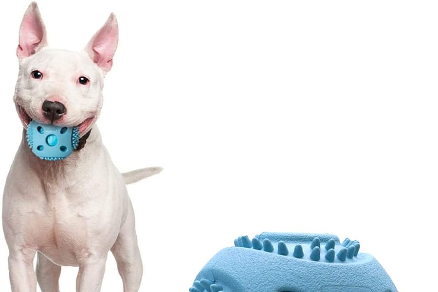 Puppy Rubber Squeak Ball