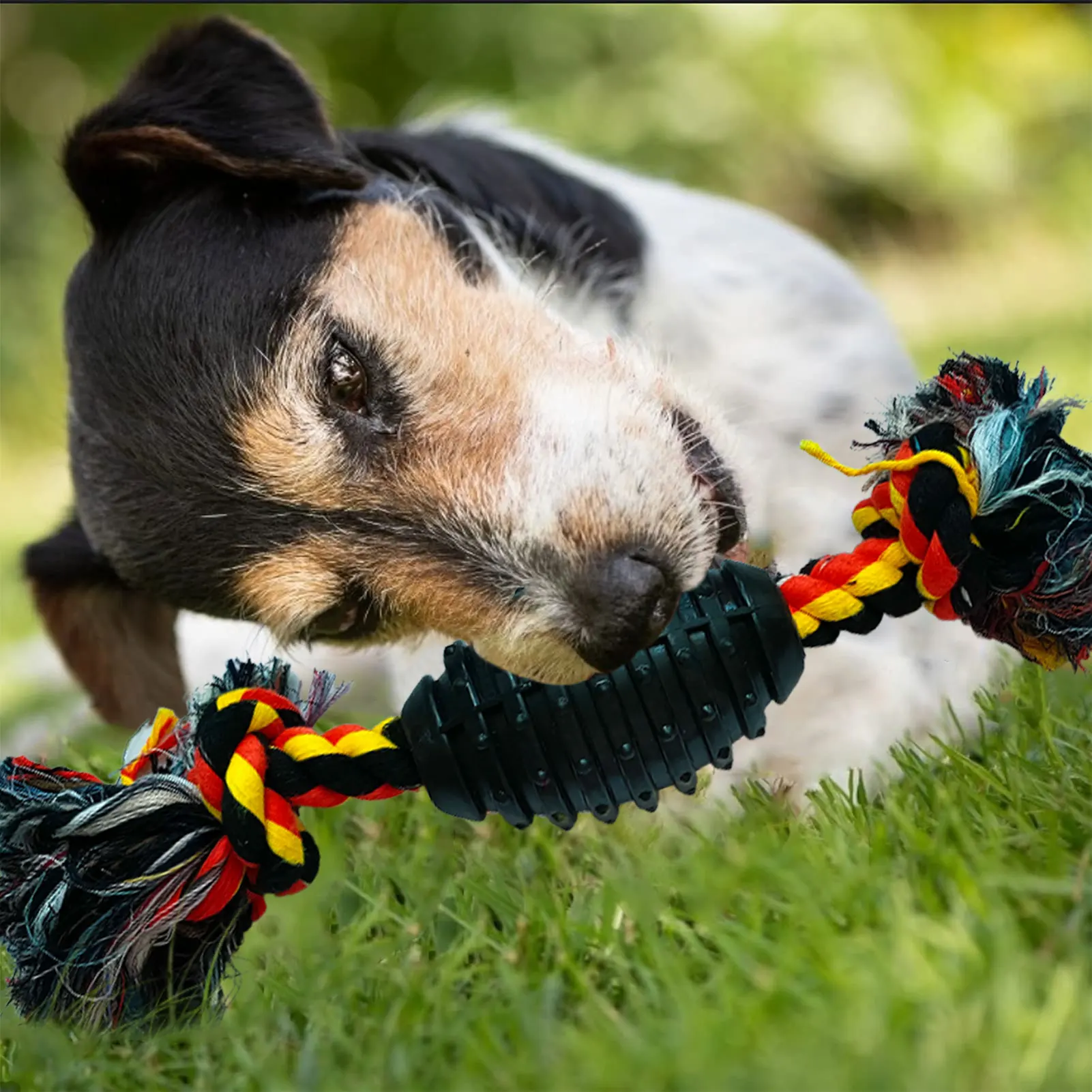 Puppy Teething Rope Toy