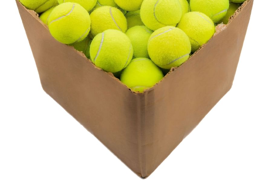 bulk tennis balls for dogs