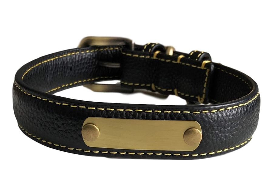 custom engraved dog collar