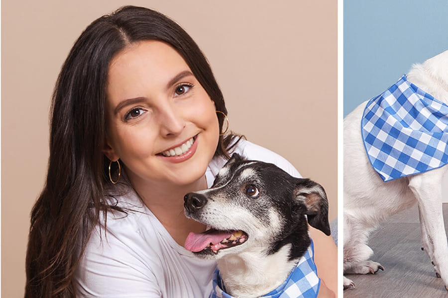 professional dog portrait session