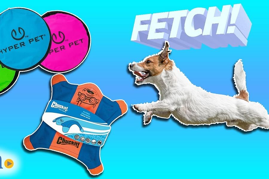 Hyper Pet Flippy Flopper