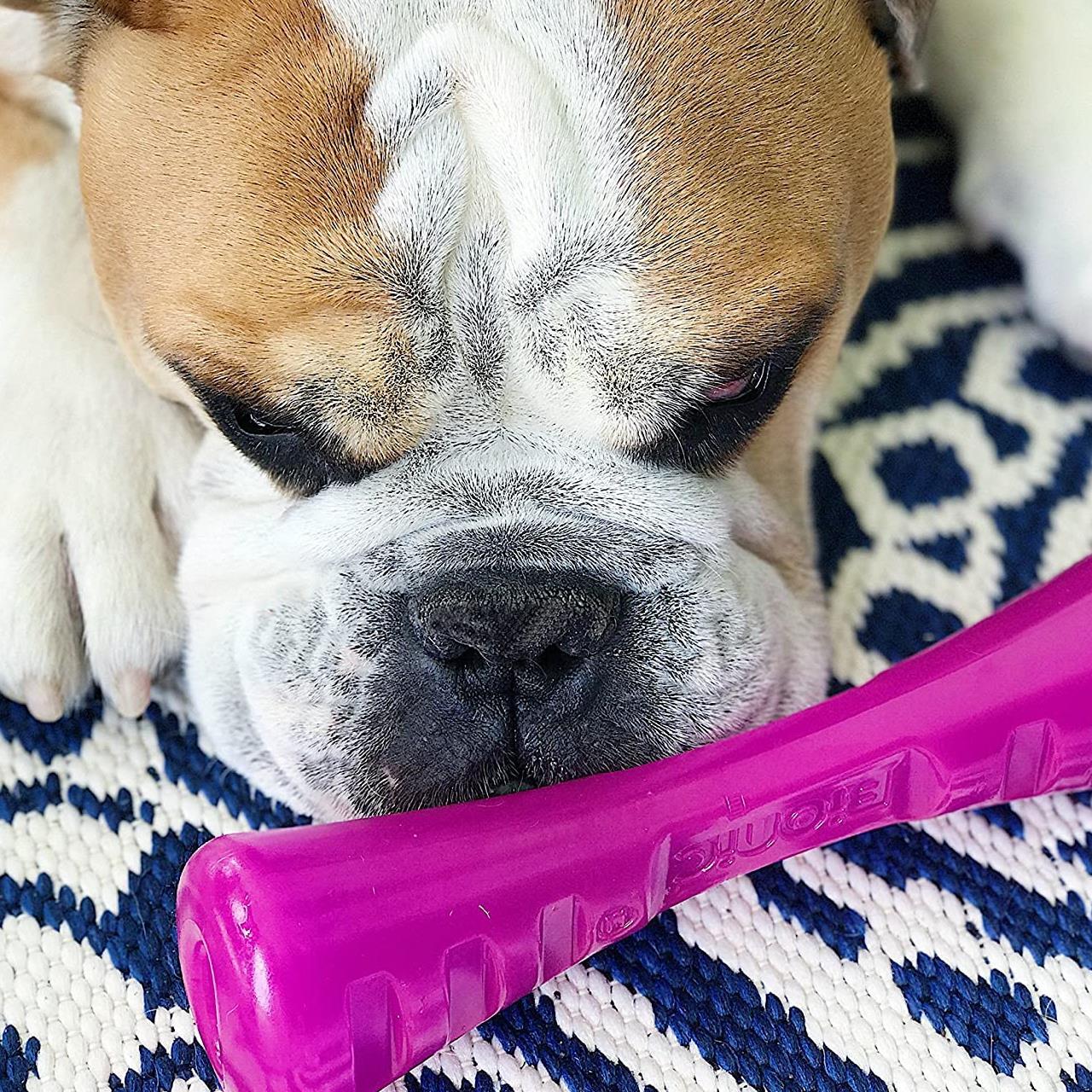 Outward Hound Bionic Ball