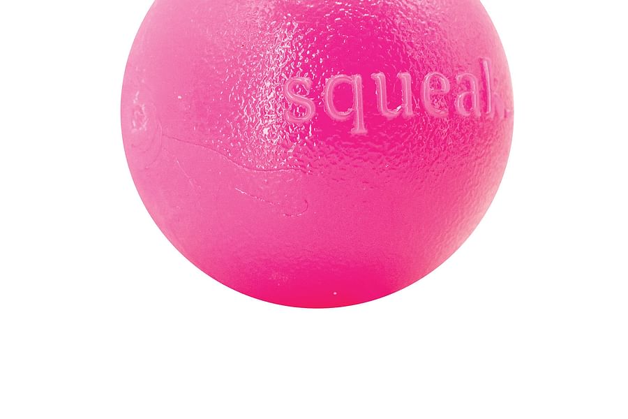 Planet Dog Orbee-Tuff Squeak