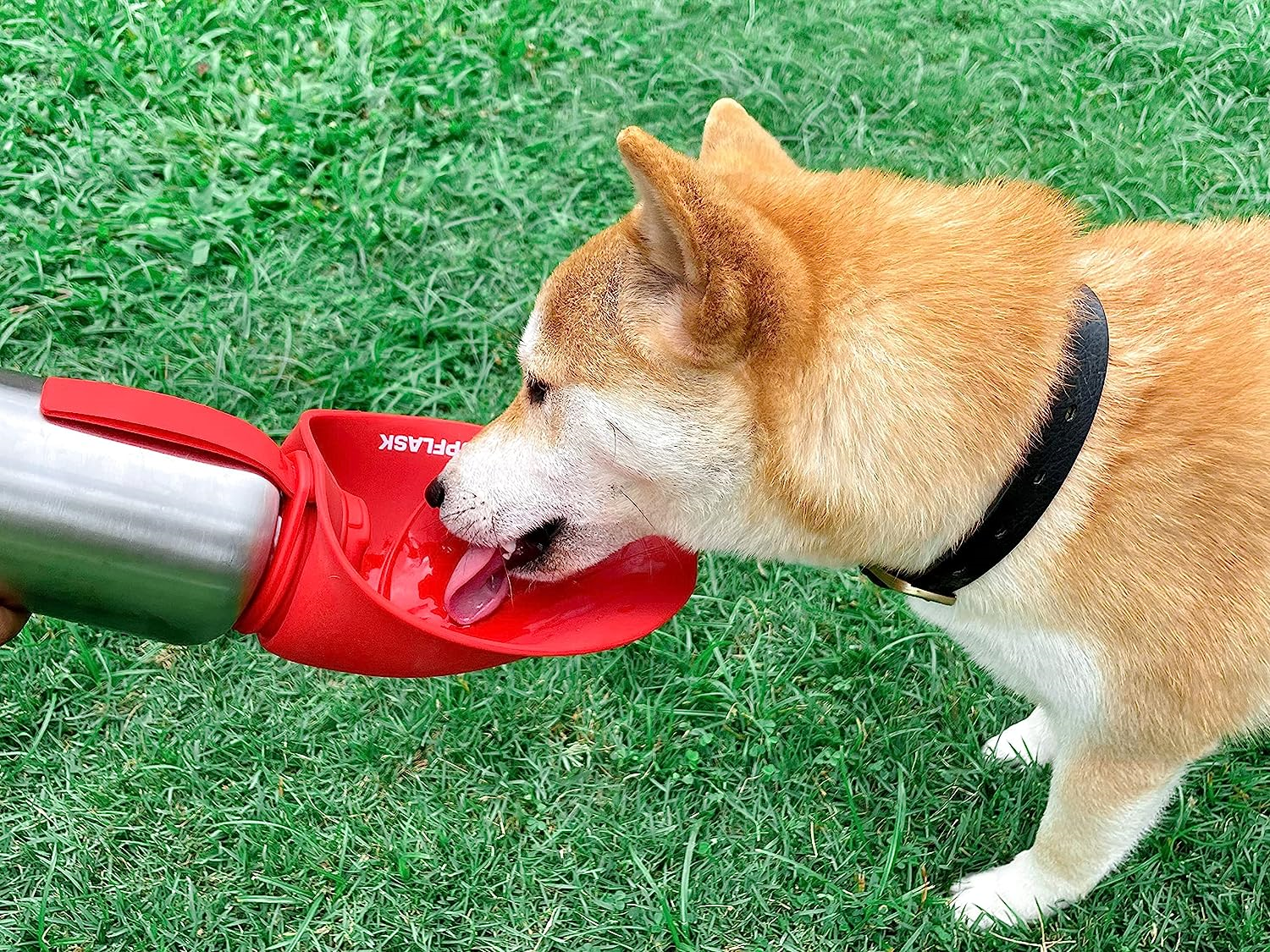 Tuff Pupper PupFlask Portable Water Bottle