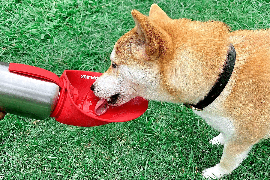 Tuff Pupper PupFlask Portable Water Bottle