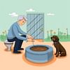 Proper Potty Practices: How to Potty Train an Older Dog Without Stress