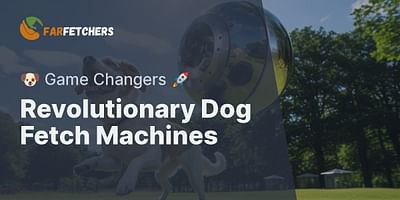 Revolutionary Dog Fetch Machines - 🐶 Game Changers 🚀