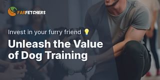 Unleash the Value of Dog Training - Invest in your furry friend 💡