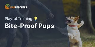 Bite-Proof Pups - Playful Training 💡