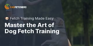 Master the Art of Dog Fetch Training - 🐶 Fetch Training Made Easy