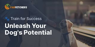 Unleash Your Dog's Potential - 🐾 Train for Success