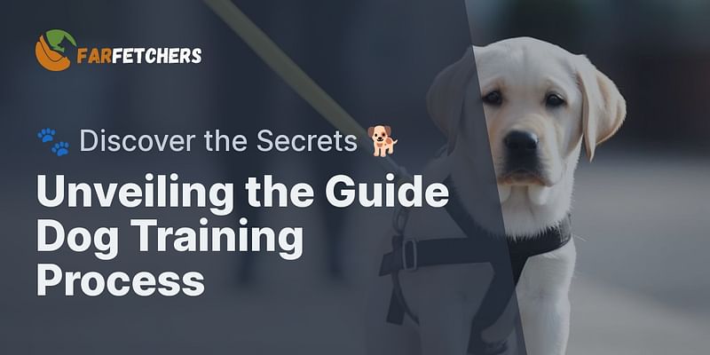 Unveiling the Guide Dog Training Process - 🐾 Discover the Secrets 🐕