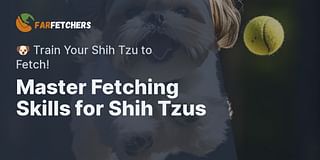 Master Fetching Skills for Shih Tzus - 🐶 Train Your Shih Tzu to Fetch!