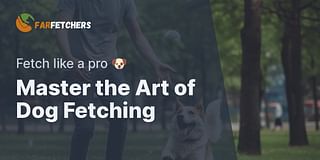 Master the Art of Dog Fetching - Fetch like a pro 🐶