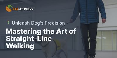 Mastering the Art of Straight-Line Walking - 🚶‍♂️Unleash Dog's Precision