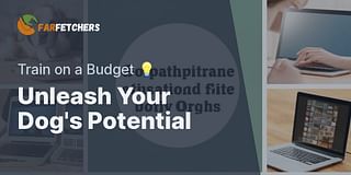 Unleash Your Dog's Potential - Train on a Budget 💡