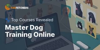 Master Dog Training Online - 🐾 Top Courses Revealed
