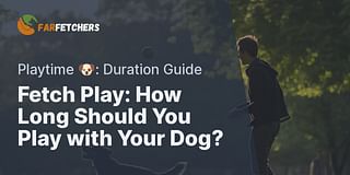 Fetch Play: How Long Should You Play with Your Dog? - Playtime 🐶: Duration Guide