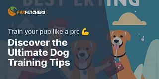 Discover the Ultimate Dog Training Tips - Train your pup like a pro 💪