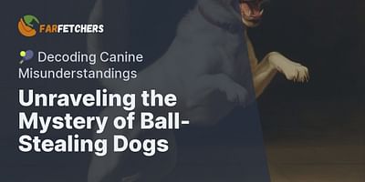 Unraveling the Mystery of Ball-Stealing Dogs - 🎾 Decoding Canine Misunderstandings