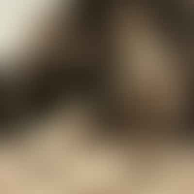 How can I train a 2-month-old puppy to walk on a leash?