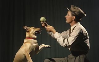 Can you provide tips on teaching a dog to drop the fetched item on command?
