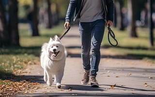 How can I train my dog to walk beside me on a leash without pulling?