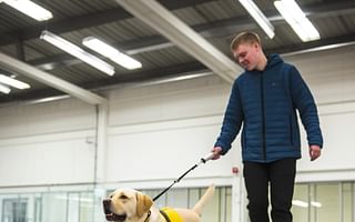 How do guide dog trainers train the dogs to walk in a straight line?
