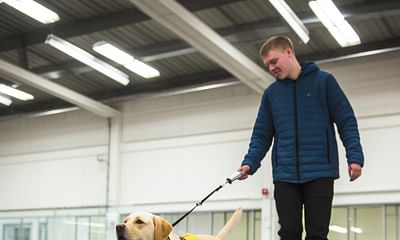 How do guide dog trainers train the dogs to walk in a straight line?