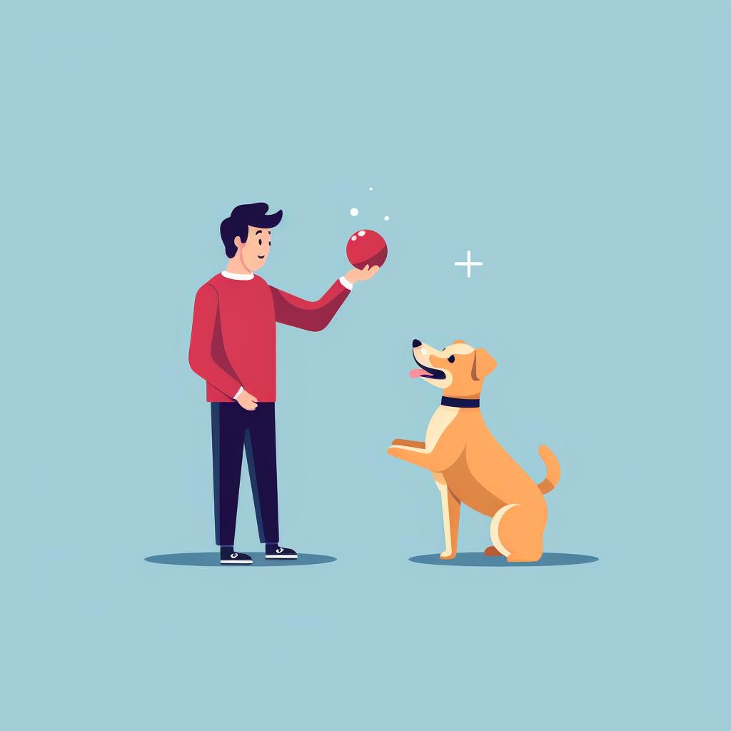 A person waving a dog toy around with a dog watching attentively.