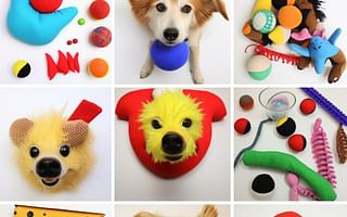 What are some creative ideas for homemade dog toys?