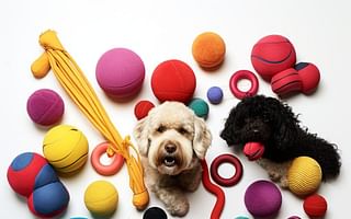 What are some durable dog toys that last a long time?