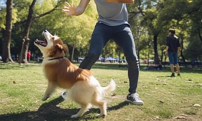 What are some fun ways to play with your dog?